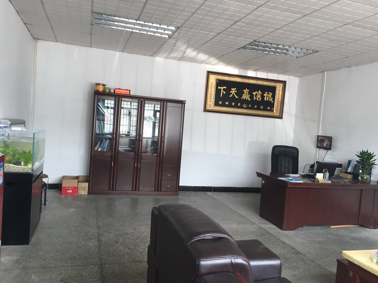 公司实力